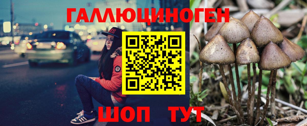 Солнечногорск  Галлюциногенные грибы мицелий  Вход с VPN 