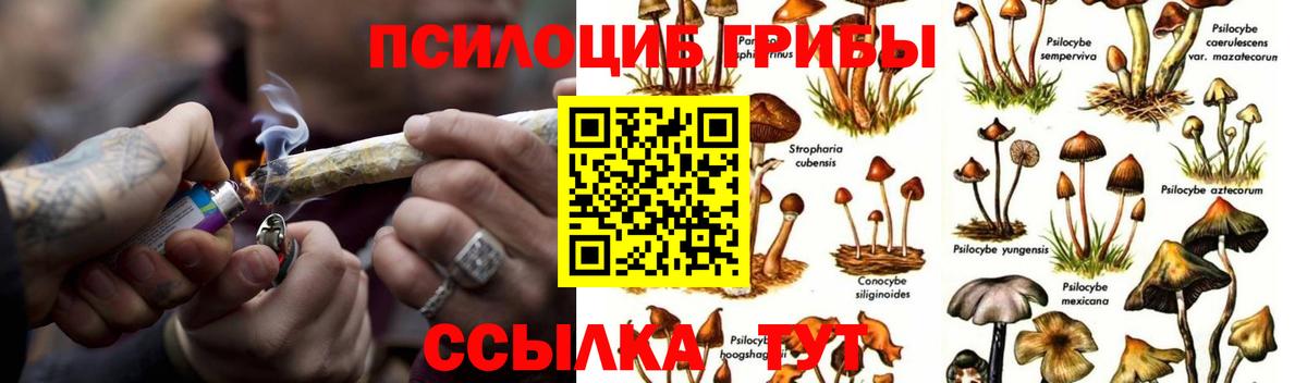 Псилоцибиновые грибы ЛСД Солнечногорск